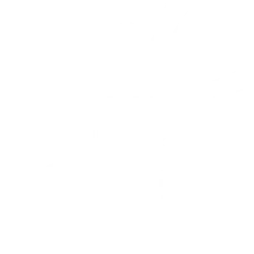 Uno Instituto Holistico