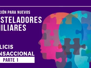 analicis_transaccional_P1.webp