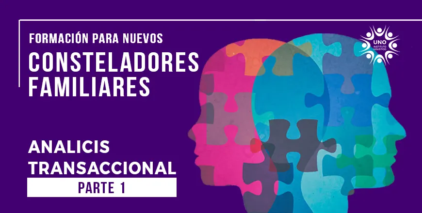 analicis_transaccional_P1.webp