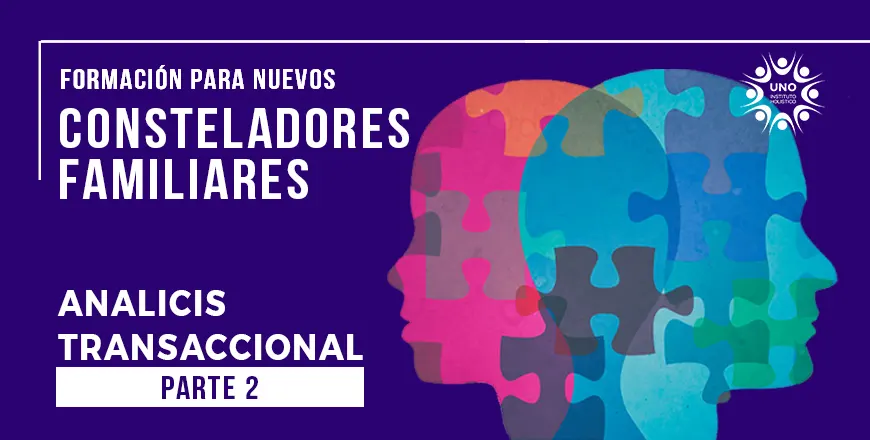 analicis_transaccional_P2.webp