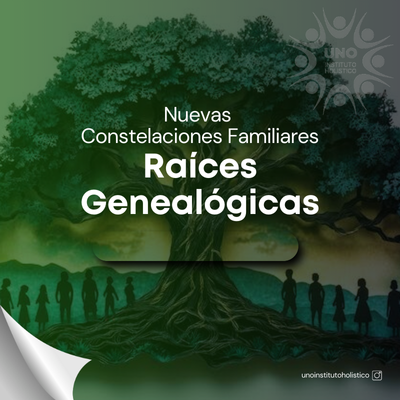 Copia de osar (10).png